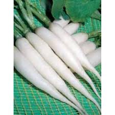 RAVANELLO BIANCO CANDELA DI GHIACCIO GR.50